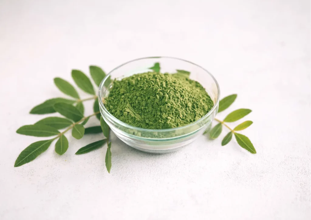 Poudre de moringa recettes